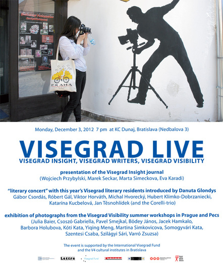 Visegrad Live Visibility